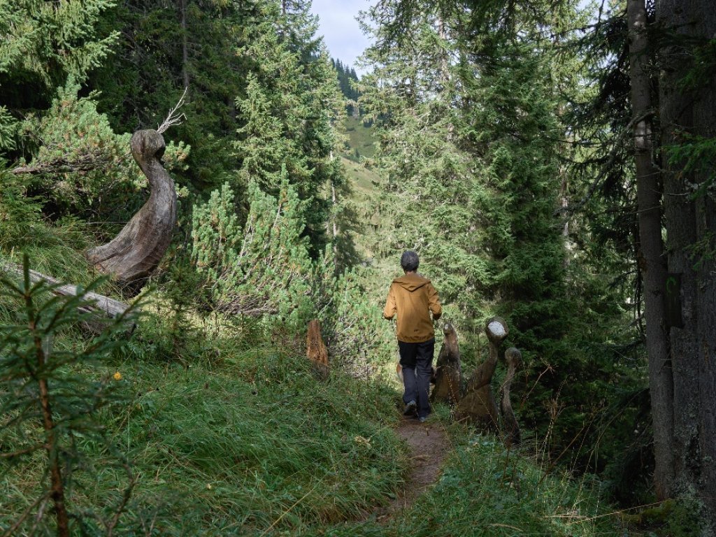 Sagenwald am Grünen Ring